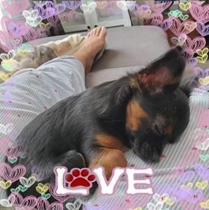 Meet your Posher, Donna